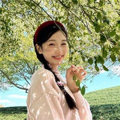羊与钢的森林